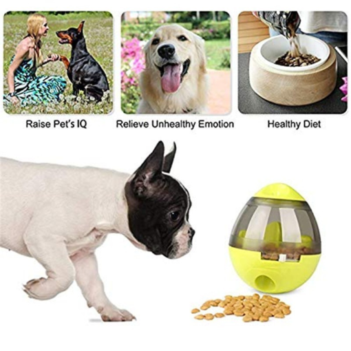 Dog Toys | Pet Accessories, Clothes, Harness Online