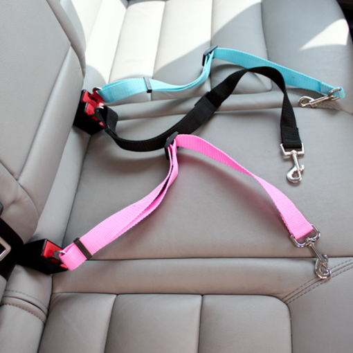 Dog Harness | Pet Accessories, Clothes, Harness Online