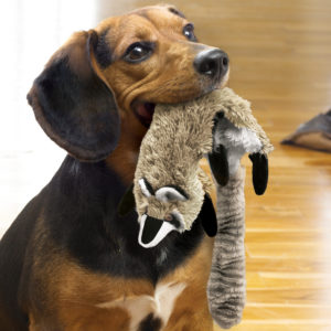 What are the best interactive toys for dogs?