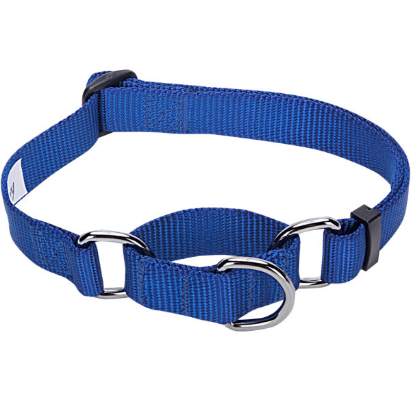 Puppies Gear Adjustable Dog Martingale Collar Made for Last, Royal Blue, Small, Neck 12"-16"