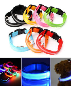 Spencer LED Dog Collar, USB Rechargeable Safety Light Up Glowing Pet Collars for Dog with Nylon Webbing, 3 Glowing Modes & 3 Reflective Strings