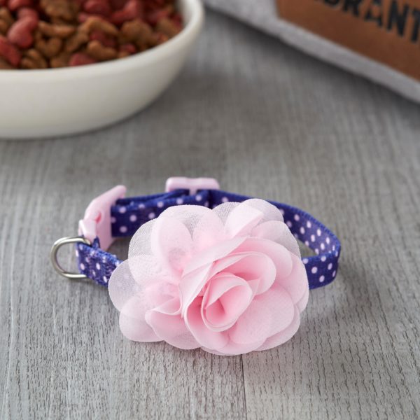 Vibrant Life Patterned Fashion Dog Collar, Blue/Pink Dots with Flower