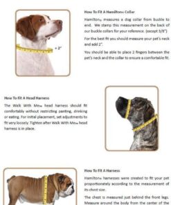 Hamilton 1" Adjustable Dog Collar, Large, fits 18"- 26", Ribbon Overlay, Pink Retro Floral Pattern Size Instruction