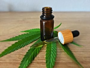 What You Need to Know About CBD Oil for Dogs?