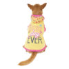 Vibrant Life Radiate Positive Vibes Dog Dress, Yellow, Small