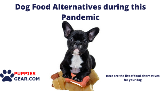 Dog Food Alternatives during this Pandemic
