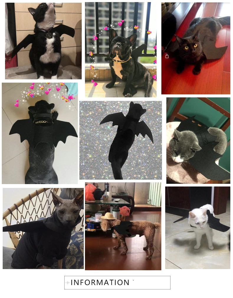 Bat Wings Halloween Costumes For Dog and Cat