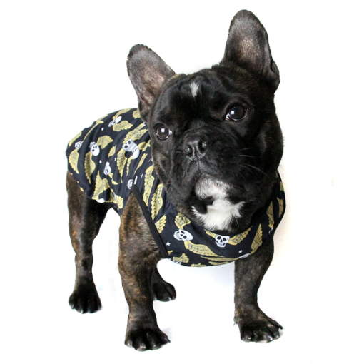Dog Clothes | Pet Accessories, Clothes, Harness Online