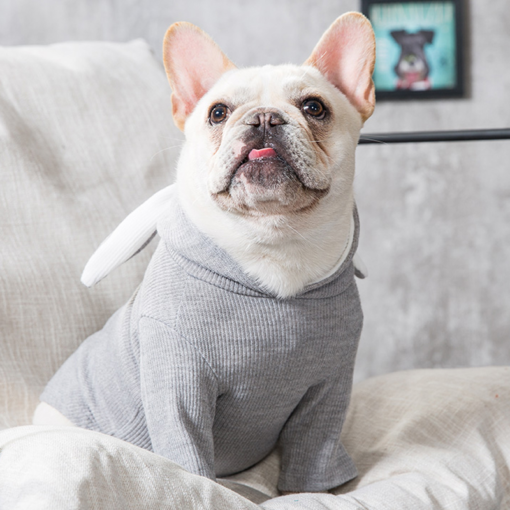 Dog Coat | Pet Accessories, Clothes, Harness Online