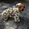 Dog Coat | Pet Accessories, Clothes, Harness Online