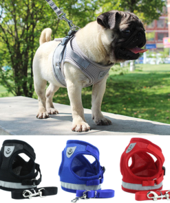 Dog Harness | Pet Accessories, Clothes, Harness Online