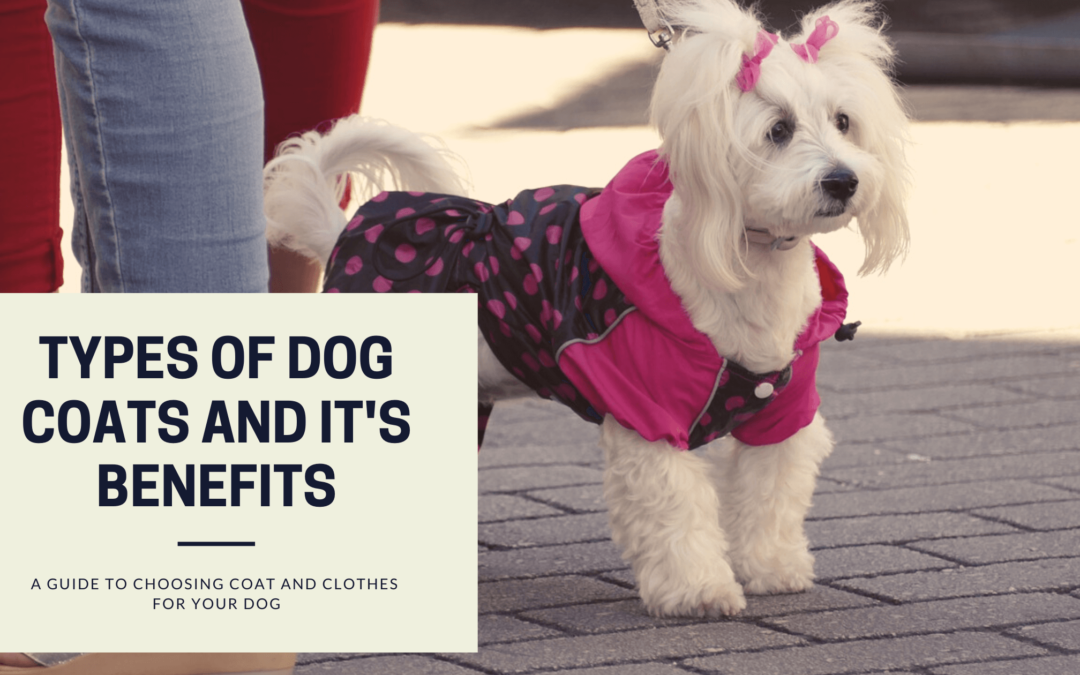 different types of dog coats