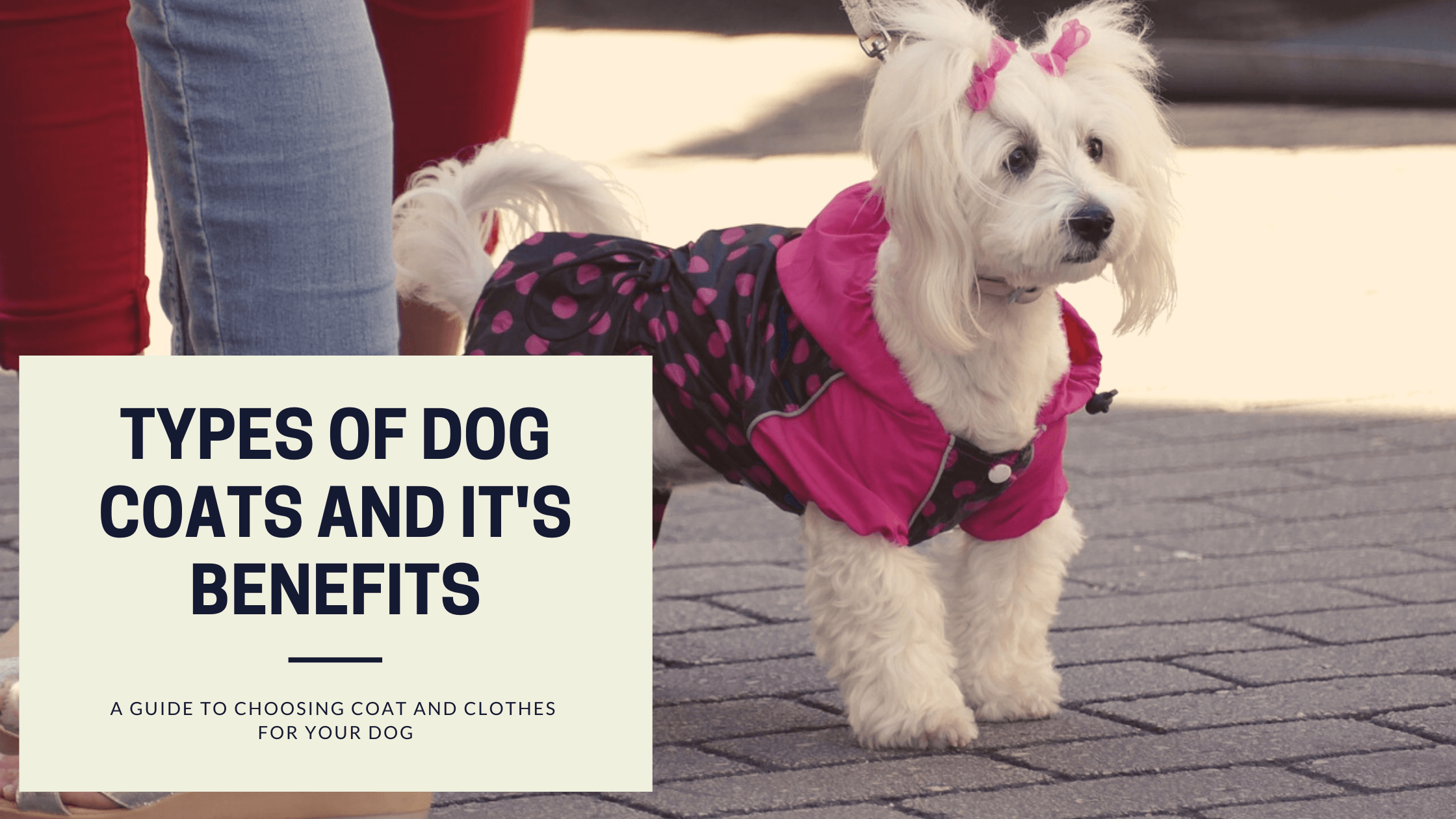 what are the different types of dog coats