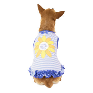 dog coats for small breed