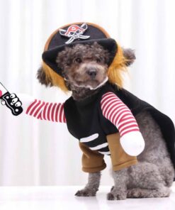 Halloween Caribbean Pirate Costume for Dog