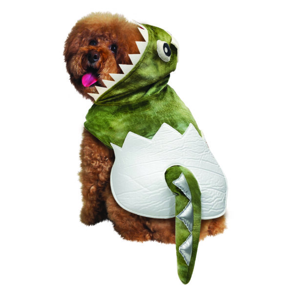Halloween Dinosaur Costume For Dog