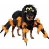 Halloween Spider Costume for Dog