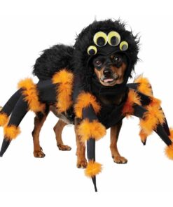 Halloween Spider Costume for Dog