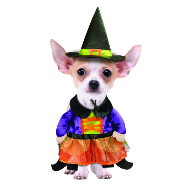 Halloween Witch Costume For Dog