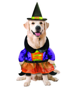 Halloween Witch Costume For Dog