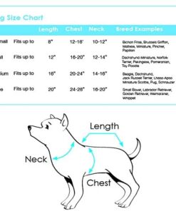 Spider Pup Pet Costume Size Chart