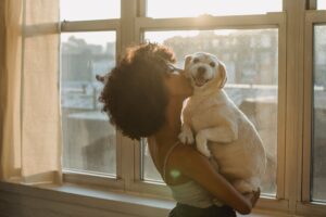 10 Tips for First Time Dog Owners