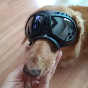 Windproof UV Protection Pet Goggles