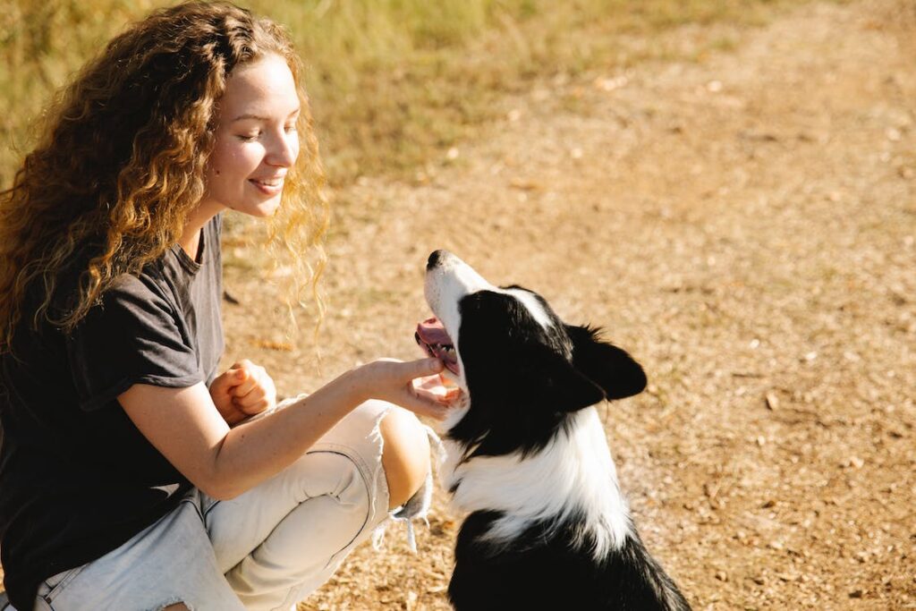 Top 10 Fun Activities & Games for Dogs to Keep Them Happy and Healthy?